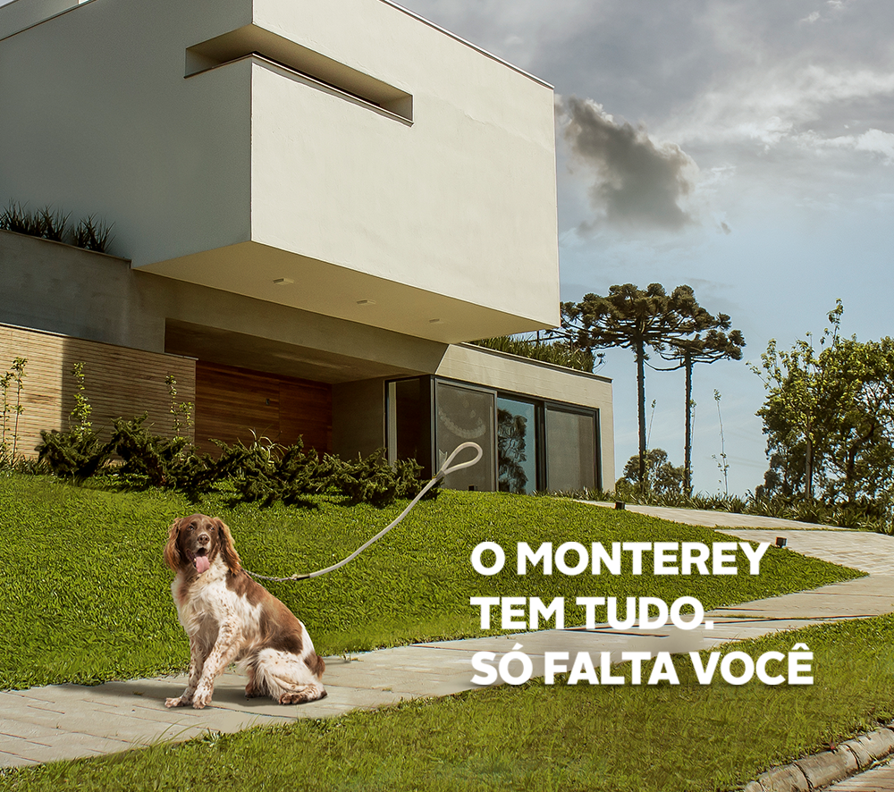 Campanha Monterey